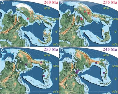 Widespread Grylloblattid Insects After the End-Permian Mass Extinction